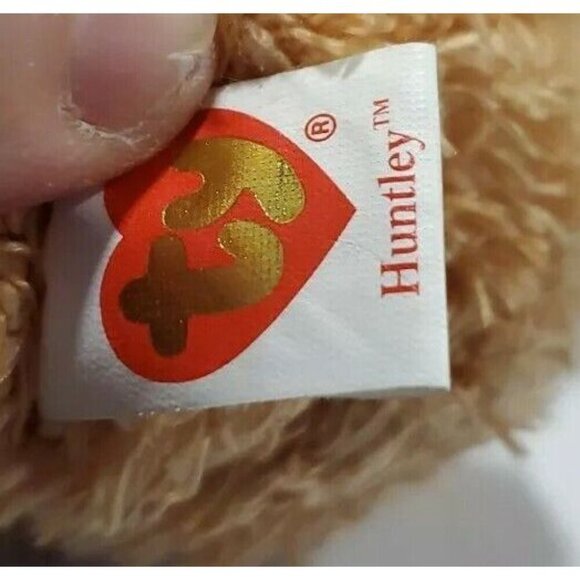 TY Beanie Baby - Huntley the Bear 8.5" Tags Attached Teddy bear - Picture 4 of 6